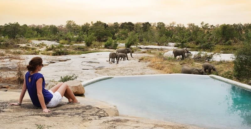 voyages de luxe afrique du sud londolozi granite elephants