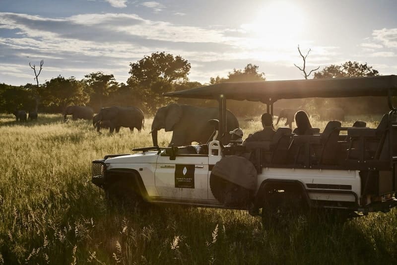 voyages de luxe botswana chobe chilwero safari