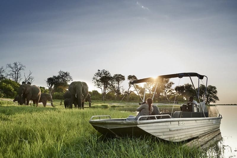 voyages de luxe botswana okavango delta bateau elephant photos