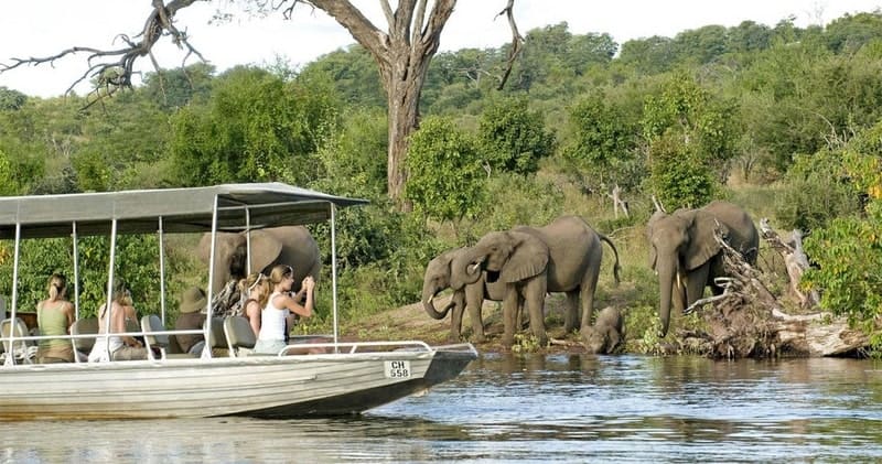 voyages de luxe botswana okavango delta bateau elephants