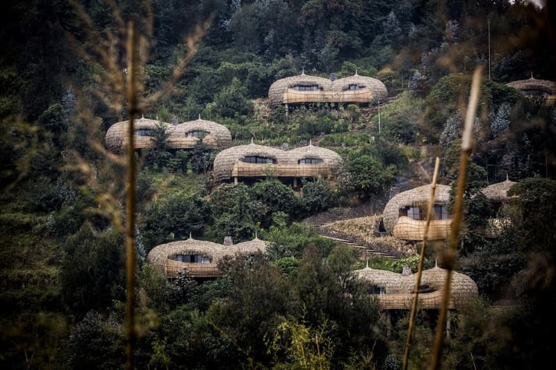voyages de luxe rwanda bisate lodges