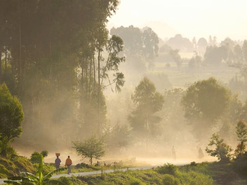 voyages de luxe rwanda jungle