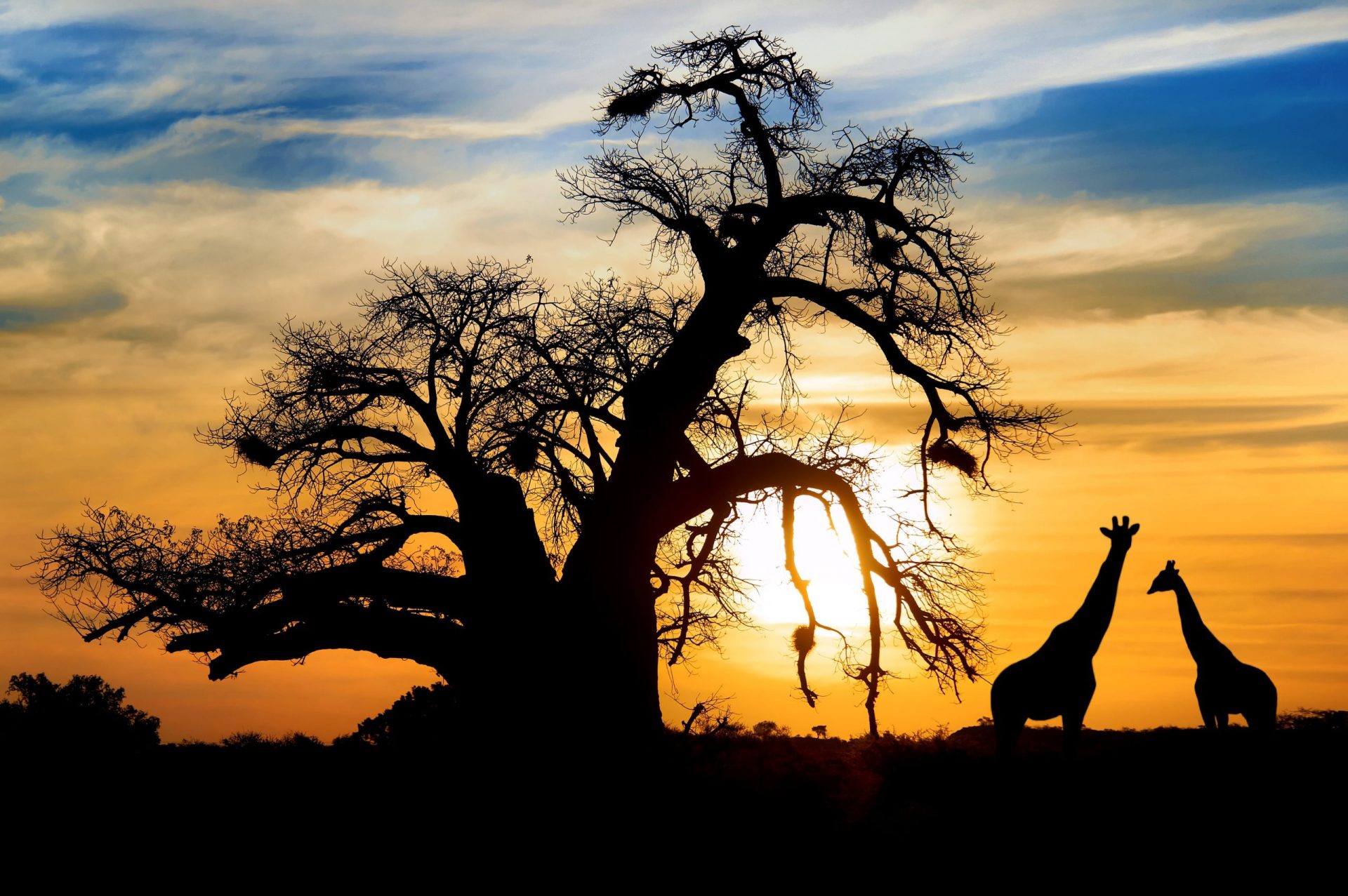 safari luxe afrique du sud