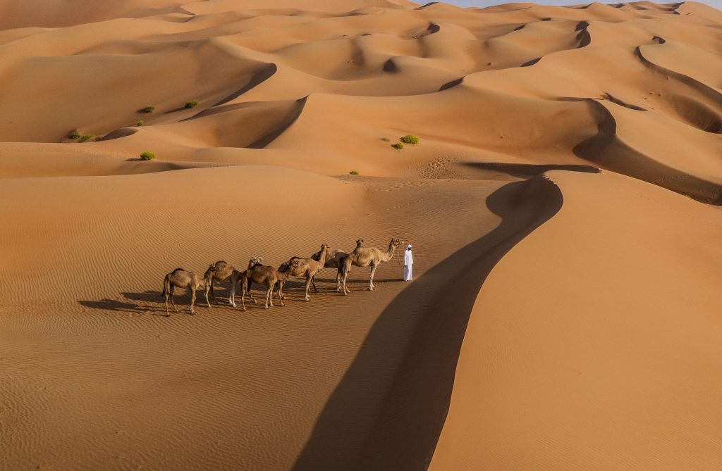 voyages de luxe qasr al sarab desert resort by anantara activites chameaux