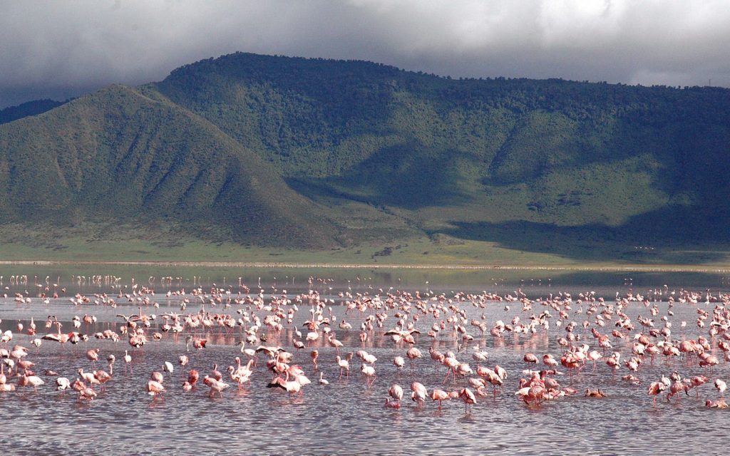 voyages de luxe ultime safari afrique ngorongoro crater lodge