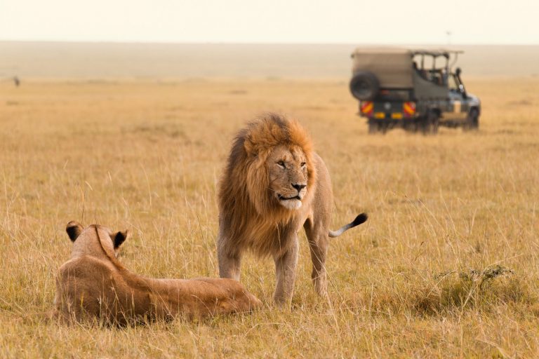 Safari Chic en Tanzanie