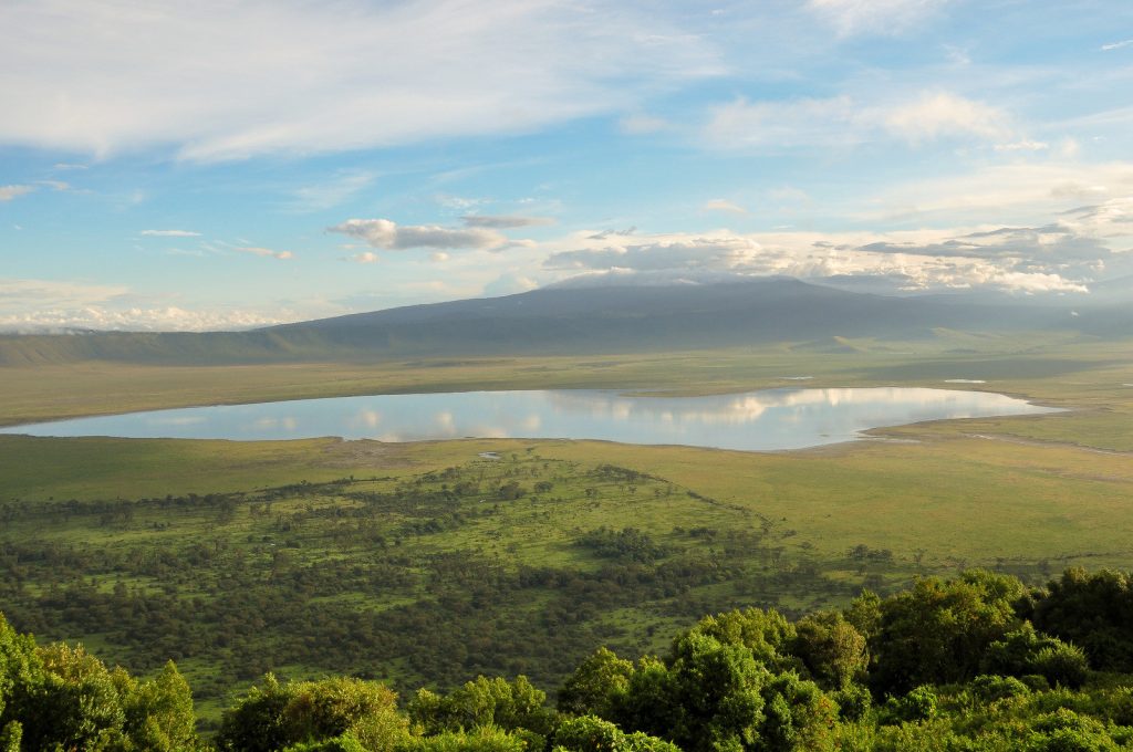 safari luxe en Tanzanie