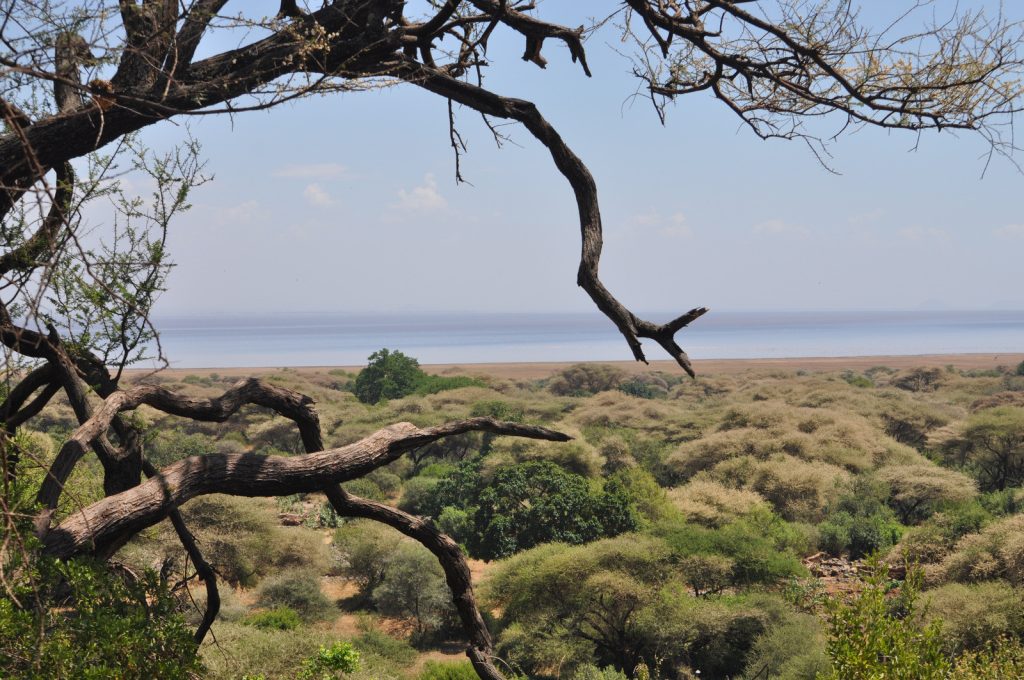 voyage de luxe tanzanie safari luxe