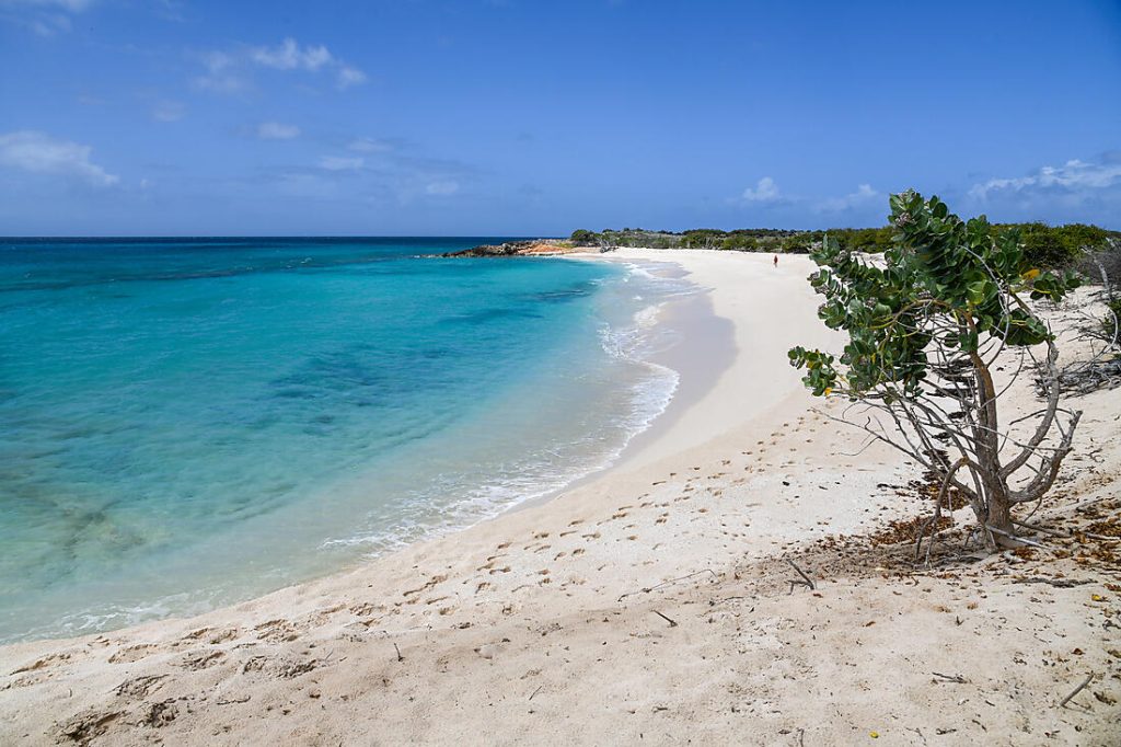 Plage de sable blanc dans les îles Vierges avec eau turquoise lors d’une croisière Ponant dans les Caraïbes