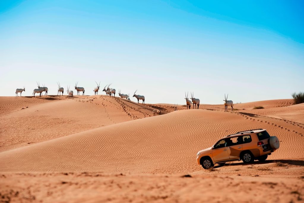 safari-desert-al-maha-dubai-voyages-de-luxe