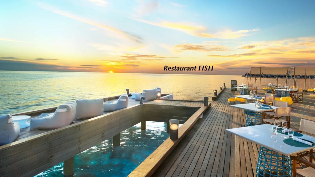 w-maldives-restaurant-fish