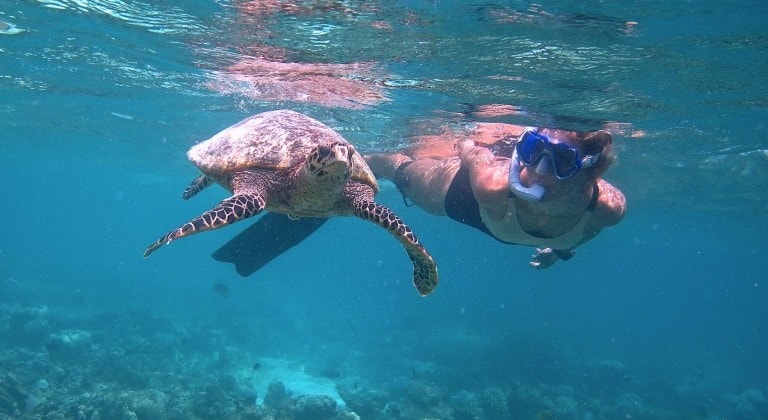 Expérience unique de plongée avec masque et tuba aux Maldives