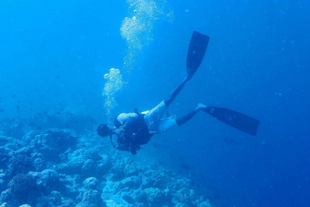 diving-the-nautilus-maldives