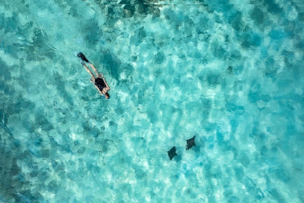 snorkeling-the-nautilus-maldives