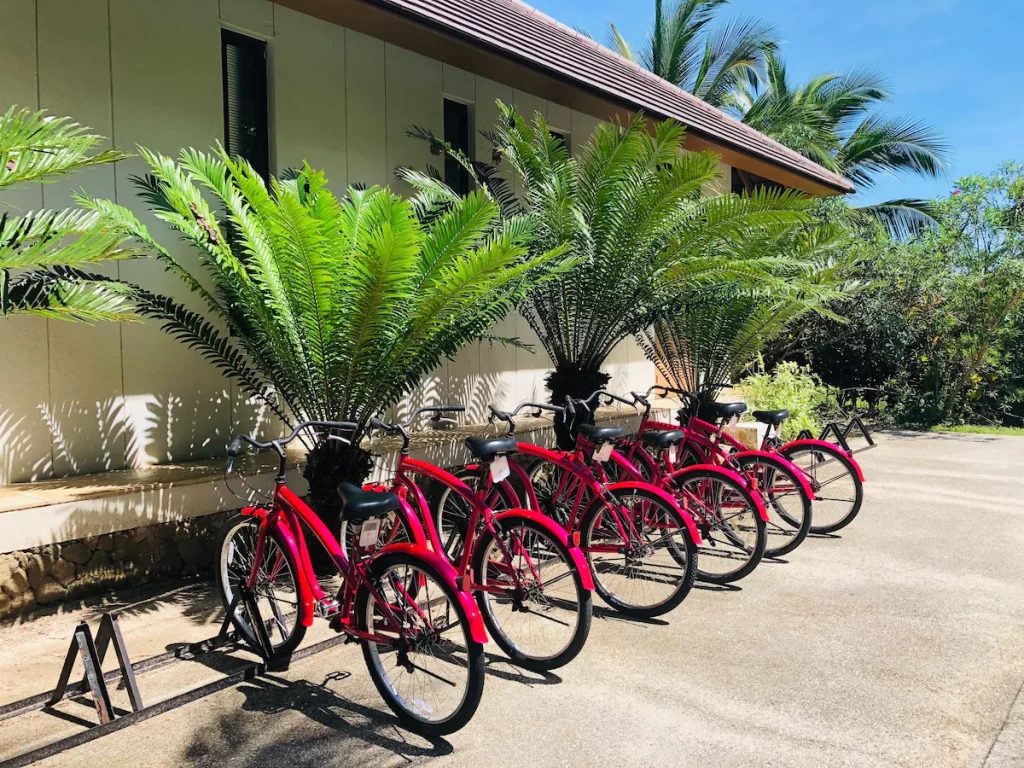 Promenade à vélo sur l'île de Zanzibar