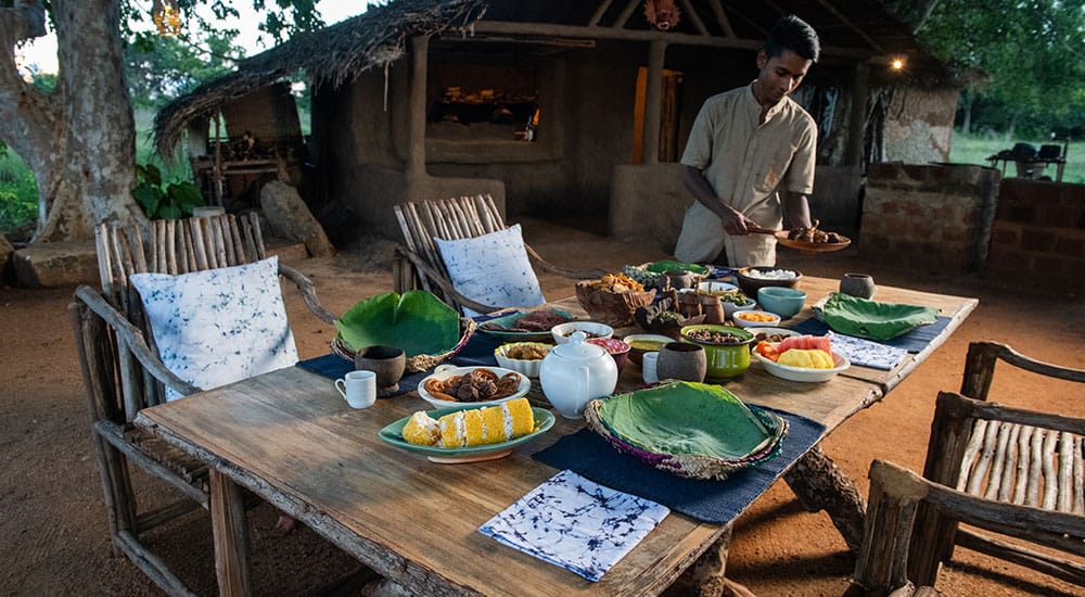 immersion culinaire au Sri Lanka dans une rizière : expérience inoubliable 