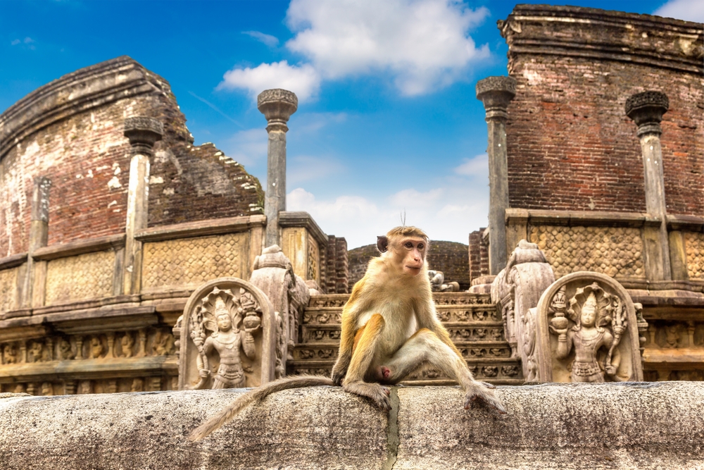 Polonnaruwa: Visitez cette ancienne ville au Sri Lanka classée à l'UNESCO avec Voyages de Luxe 