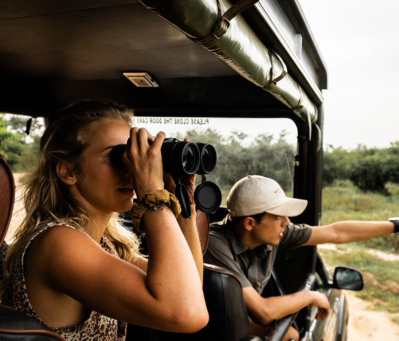 safari-sri-lanka-observation