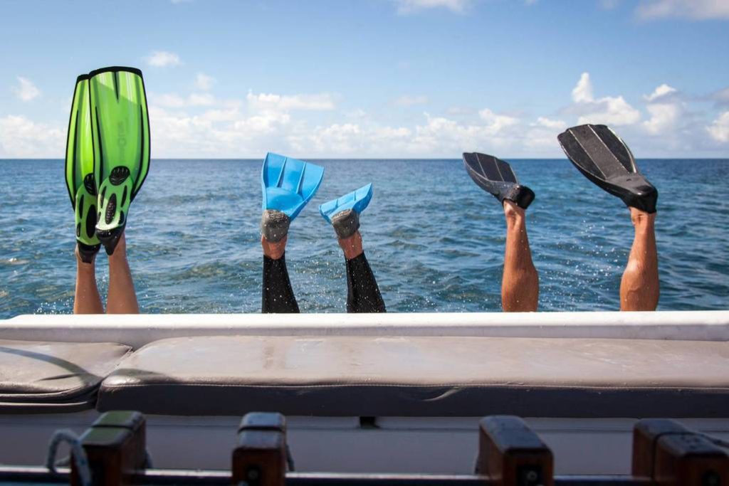 alphonse-island-experience-scuba-diving
