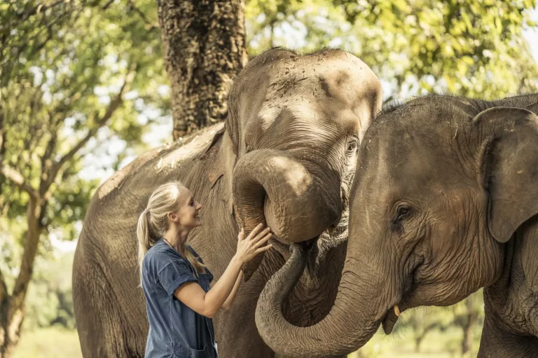 séjour luxe Chiang Rai Thaïlande Anantara Golden Triangle Elephant Camp