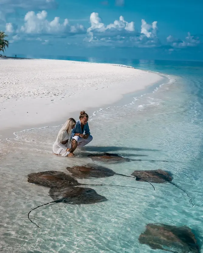 banyan-tree-vabbinfaru-fond-marins