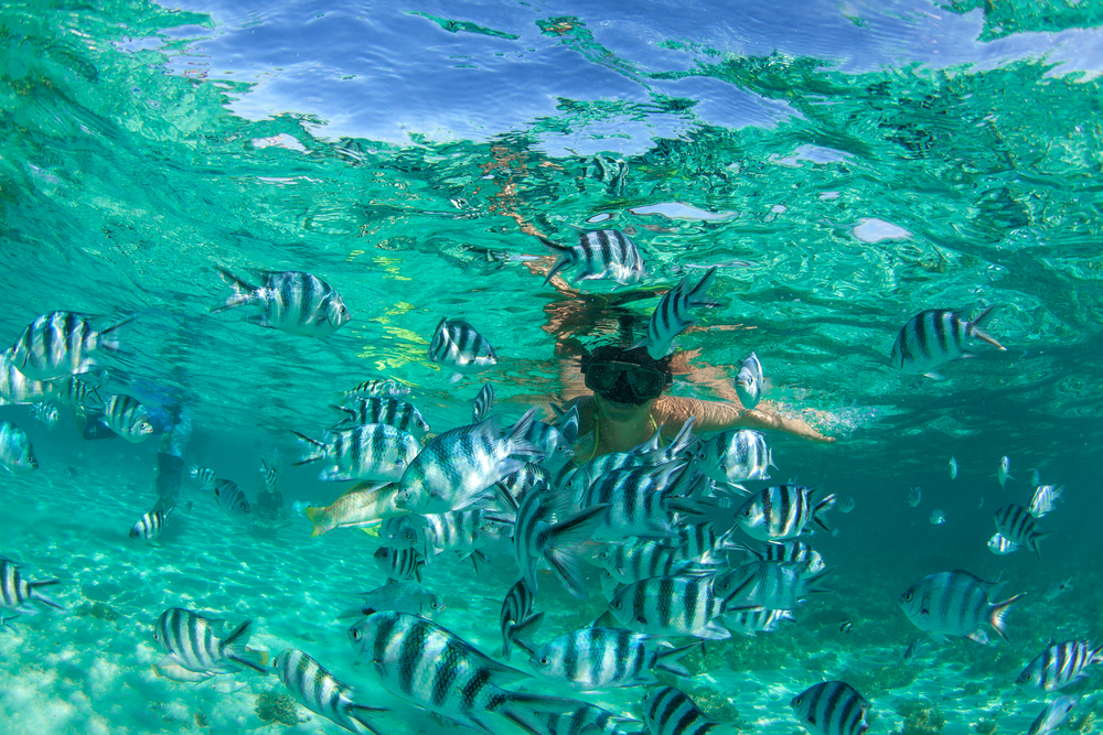 shanti maurice snorkeling