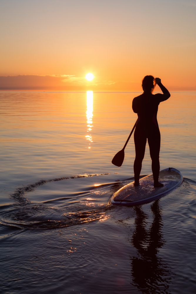 stand_up_paddle