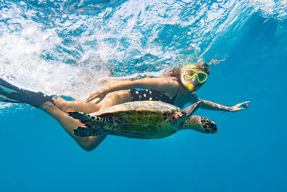 Plongée et récifs coralliens aux Maldives – LUX* South Ari Atoll 