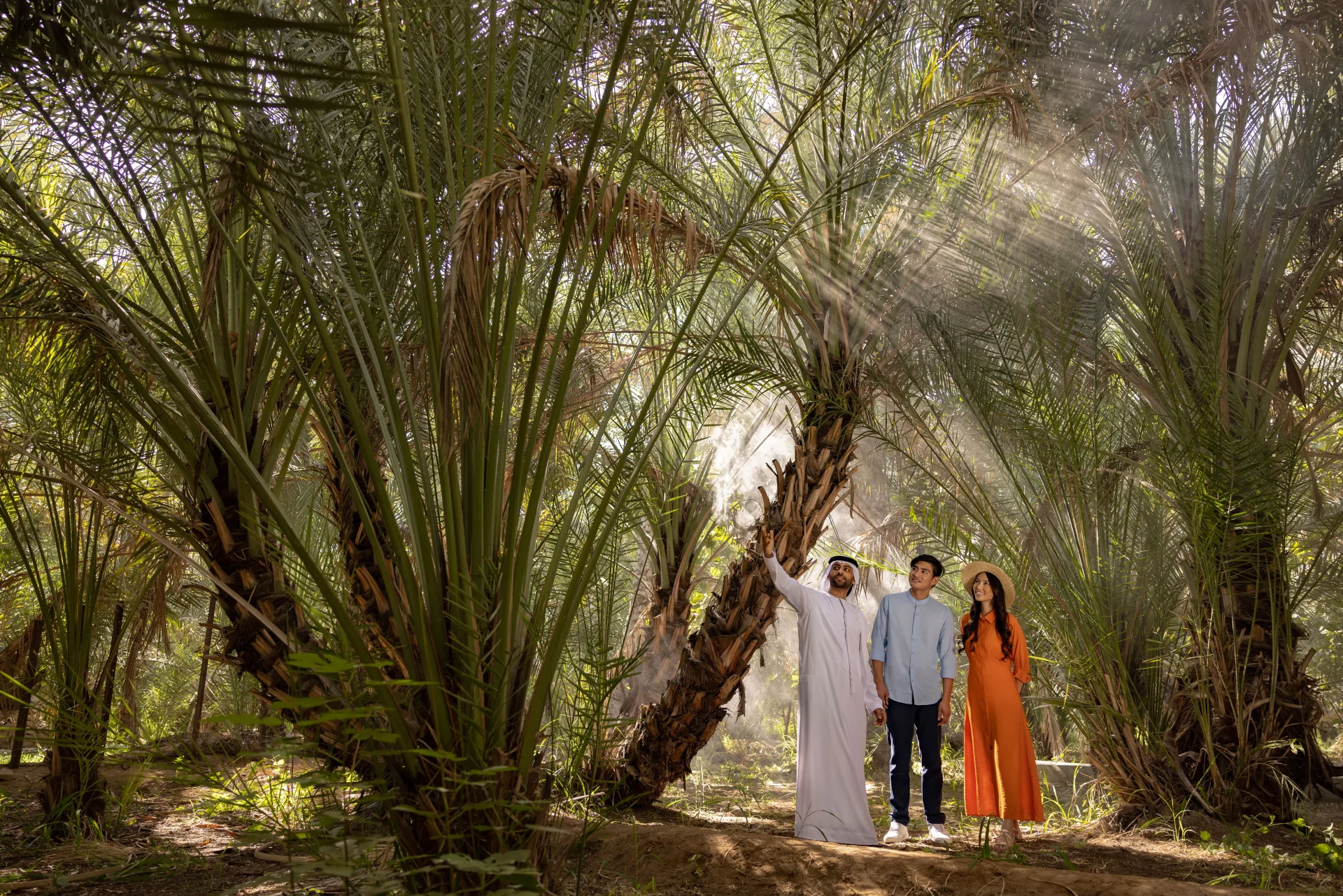 Visite guidée dans la palmeraie de l'oasis d'Al Aïn, sous la lumière filtrée des palmiers.
