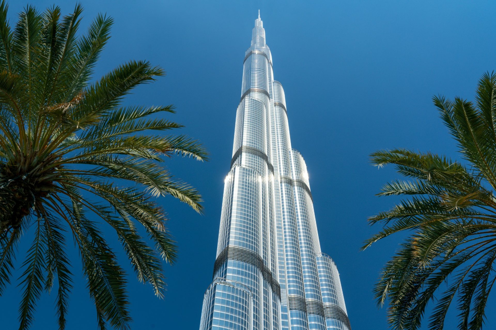 Vue du Burj Khalifa entouré de palmiers à Dubaï, symbole du luxe moderne de Dubaï 