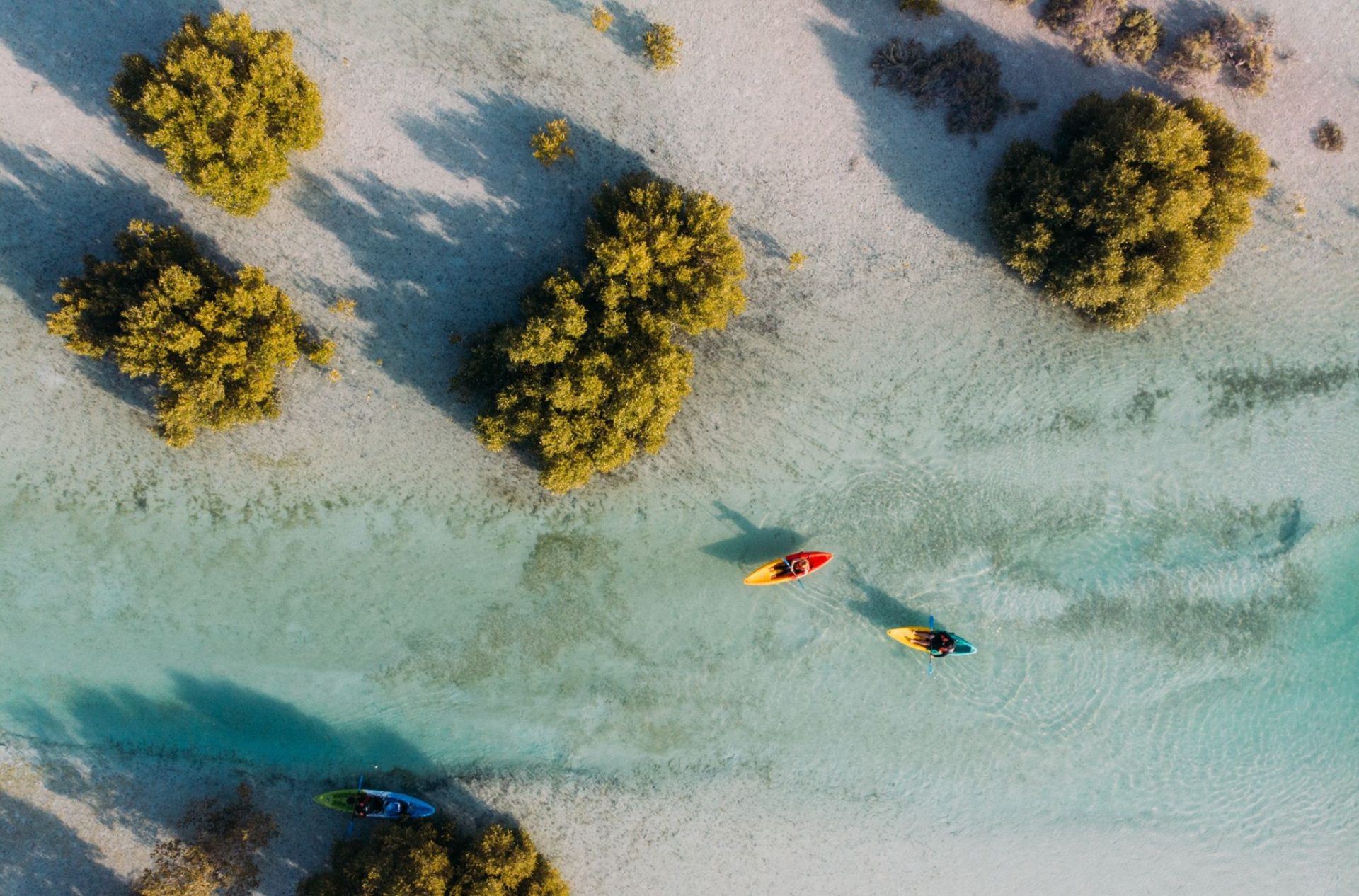 Kayak dans les eaux claires des mangroves d'Abu Dhabi, vu du ciel.