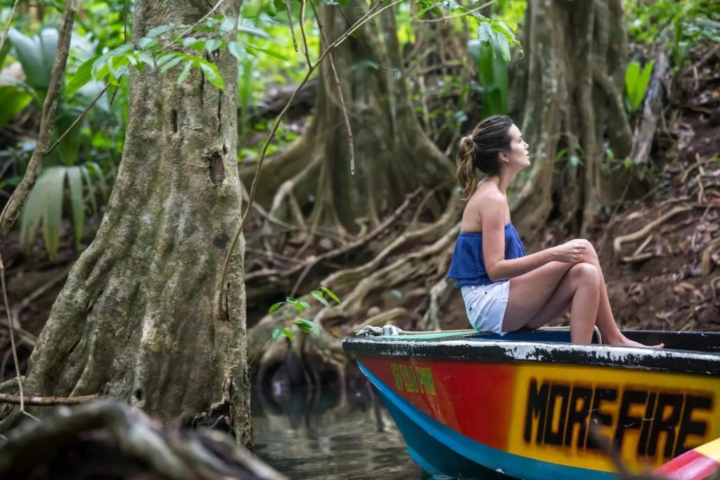 Excursion en barque dans la jungle près de Secret Bay en Dominique