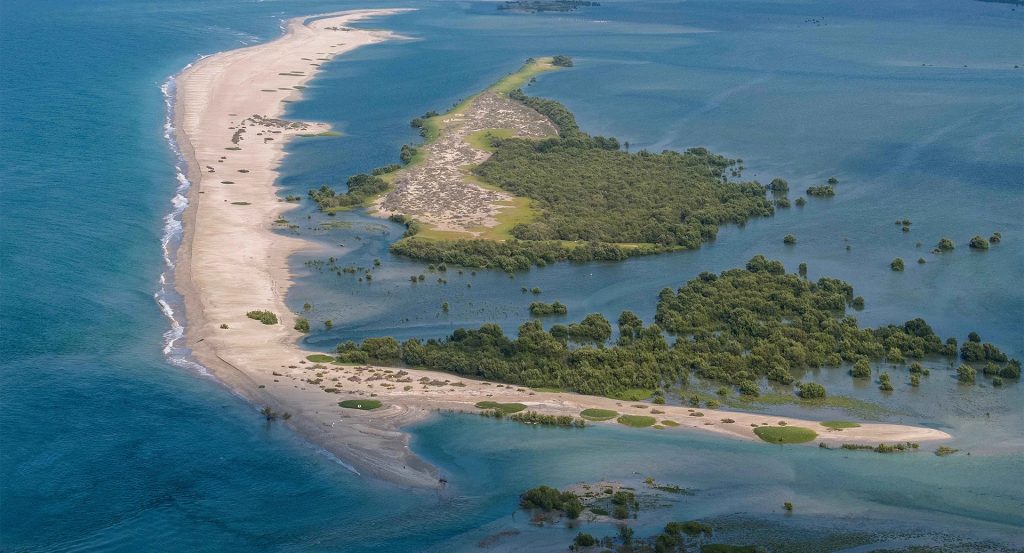 anantara-mina-ras-al-khaimah-mangroves-nature