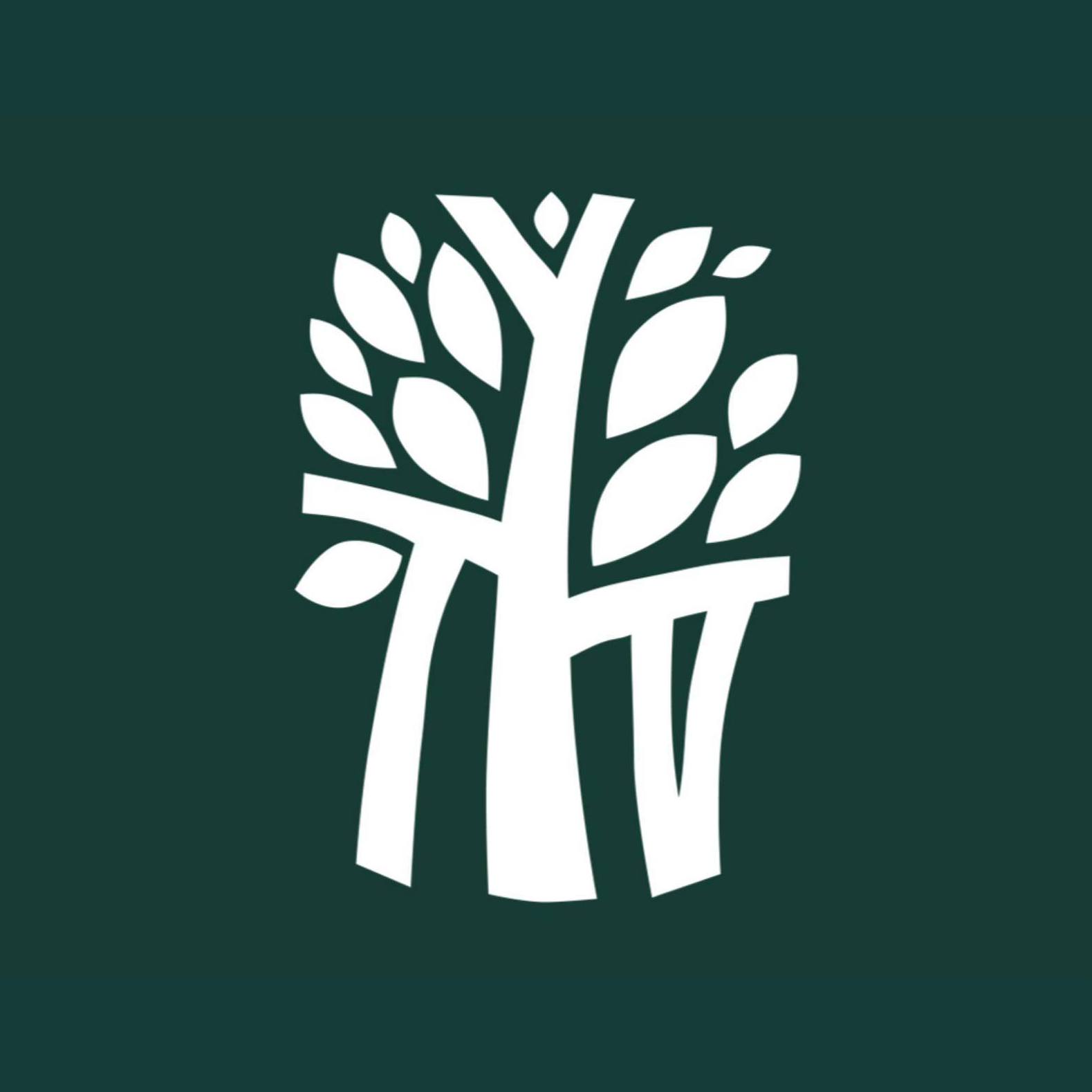 logo-banyan-tree-lang-co-vietnam