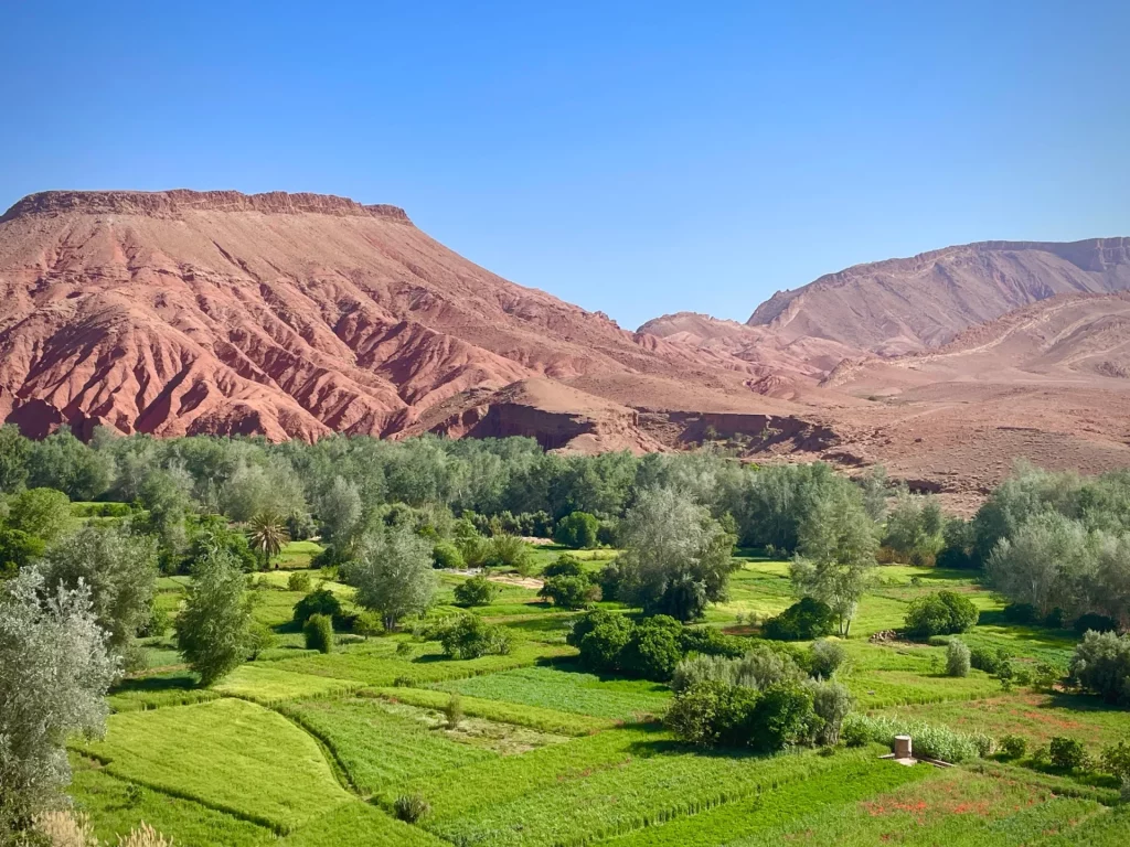 Vallée du Dadès au Maroc avec oasis verdoyante et montagnes rouges de l’Atlas