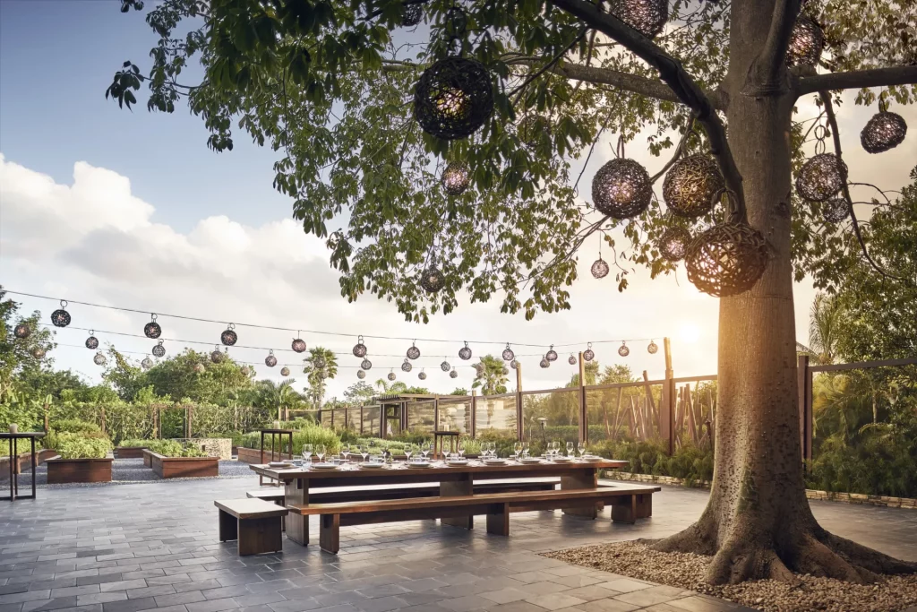 Table communale dressée sous l'arbre Ceiba au coucher du soleil avec lanternes suspendues, restaurant La Ceiba Garden & Kitchen du Rosewood Mayakoba, Riviera Maya Mexique